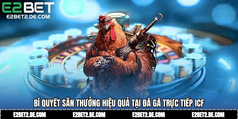 Bí quyết săn thưởng hiệu quả tại Đá gà trực tiếp ICF