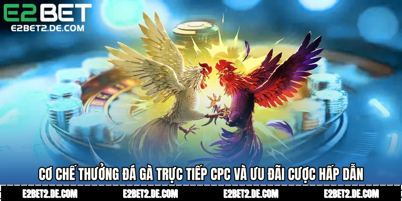 Cơ chế thưởng Đá gà trực tiếp CPC và ưu đãi cược hấp dẫn
