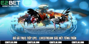Đá Gà Trực Tiếp CPC - Livestream Sắc Nét Từng Trận