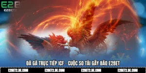 Đá Gà Trực Tiếp ICF - Cuộc So Tài Gây Bão E2bet