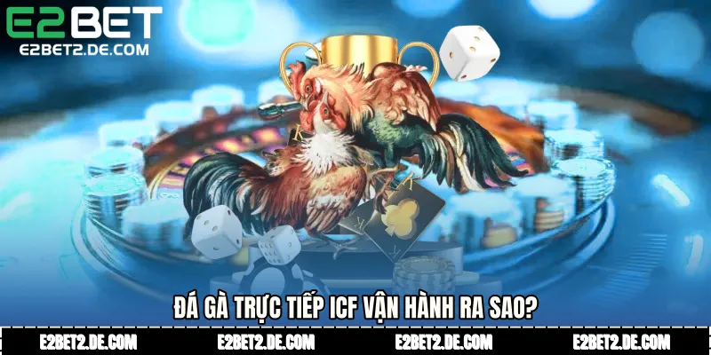 Đá gà trực tiếp ICF vận hành ra sao?