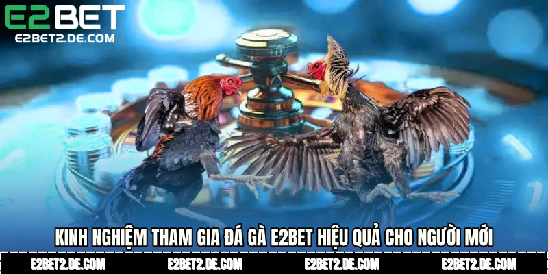 Kinh nghiệm tham gia Đá gà E2bet hiệu quả cho người mới