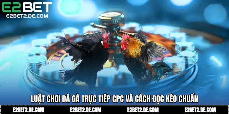 Luật chơi Đá gà trực tiếp CPC và cách đọc kèo chuẩn