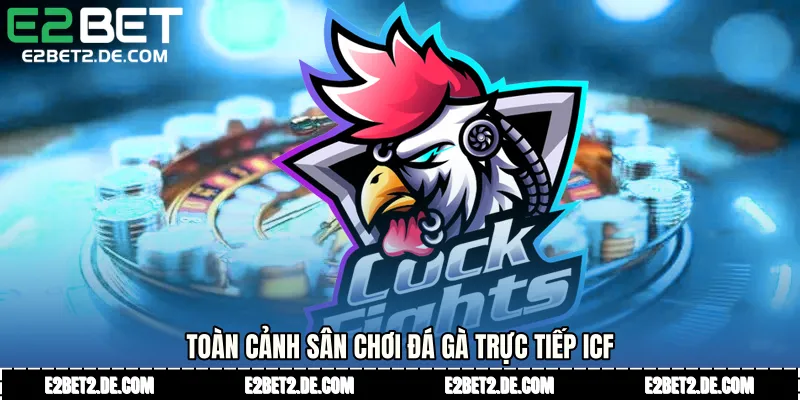 Toàn cảnh sân chơi Đá gà trực tiếp ICF