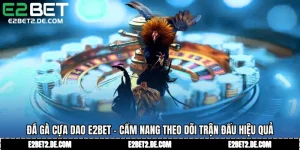 Đá Gà Cựa Dao E2bet - Cẩm Nang Theo Dõi Trận Đấu Hiệu Quả