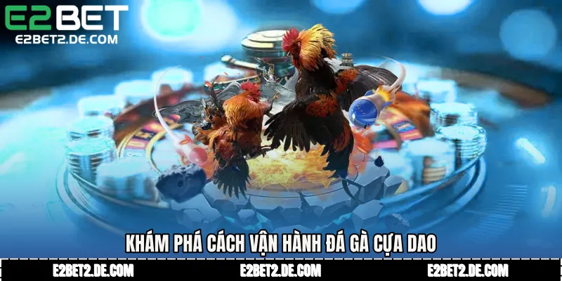 Khám phá cách vận hành Đá gà cựa dao