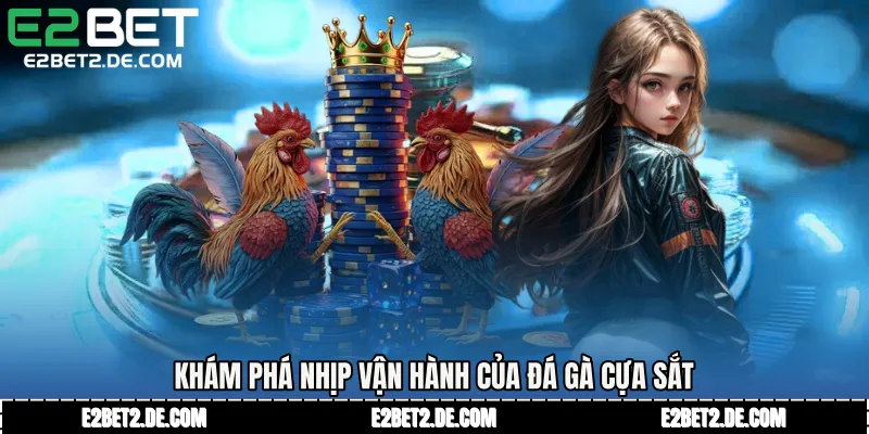 Khám phá nhịp vận hành của Đá gà cựa sắt