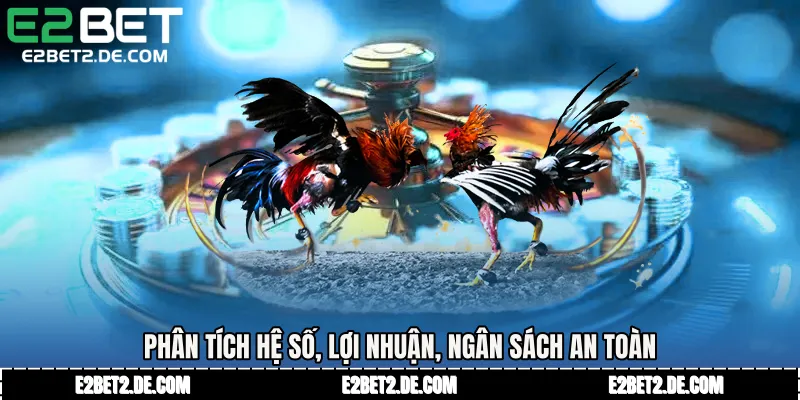 Phân tích hệ số, lợi nhuận, ngân sách an toàn